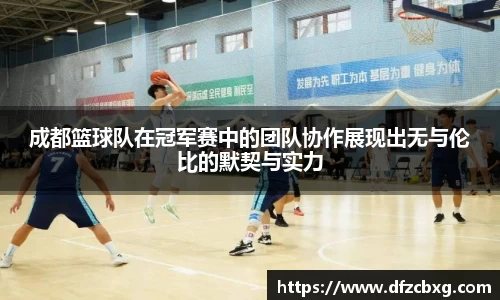 成都篮球队在冠军赛中的团队协作展现出无与伦比的默契与实力
