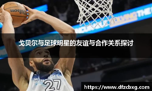 星空.综合体育官网